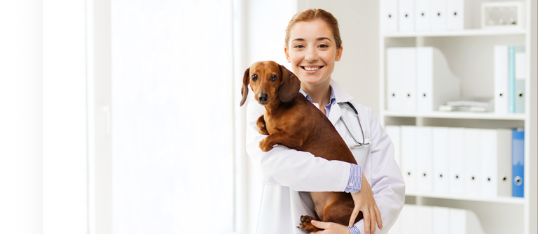 Make Veterinary Care Affordable With Patient Financing